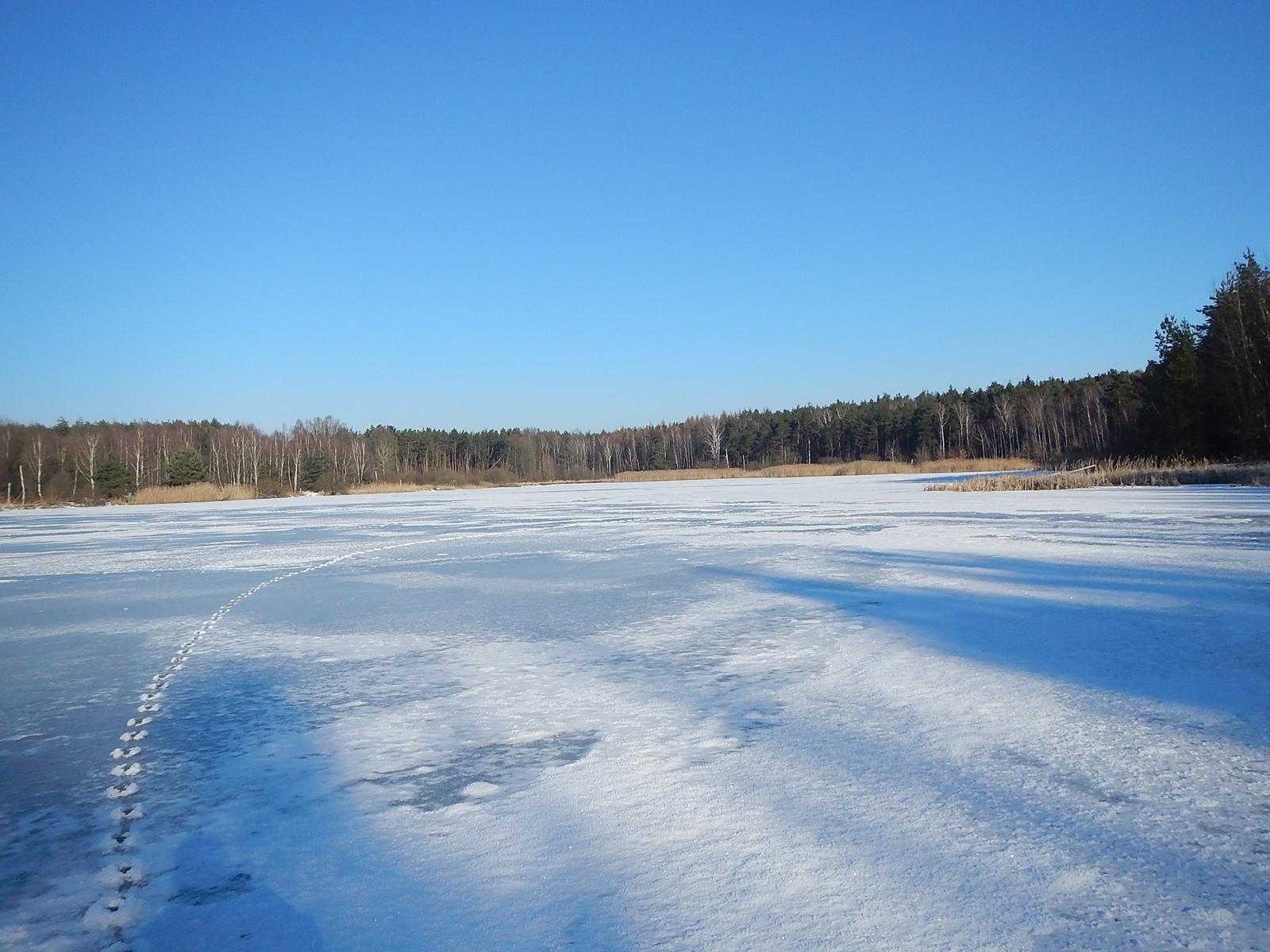 Seen und Teiche